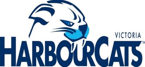 Victoria HarbourCats (@harbourcats) • Instagram photos and videos