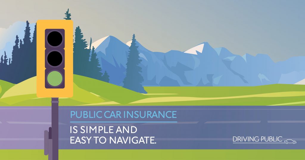 Fixing public car insurance only way to bring rates down
