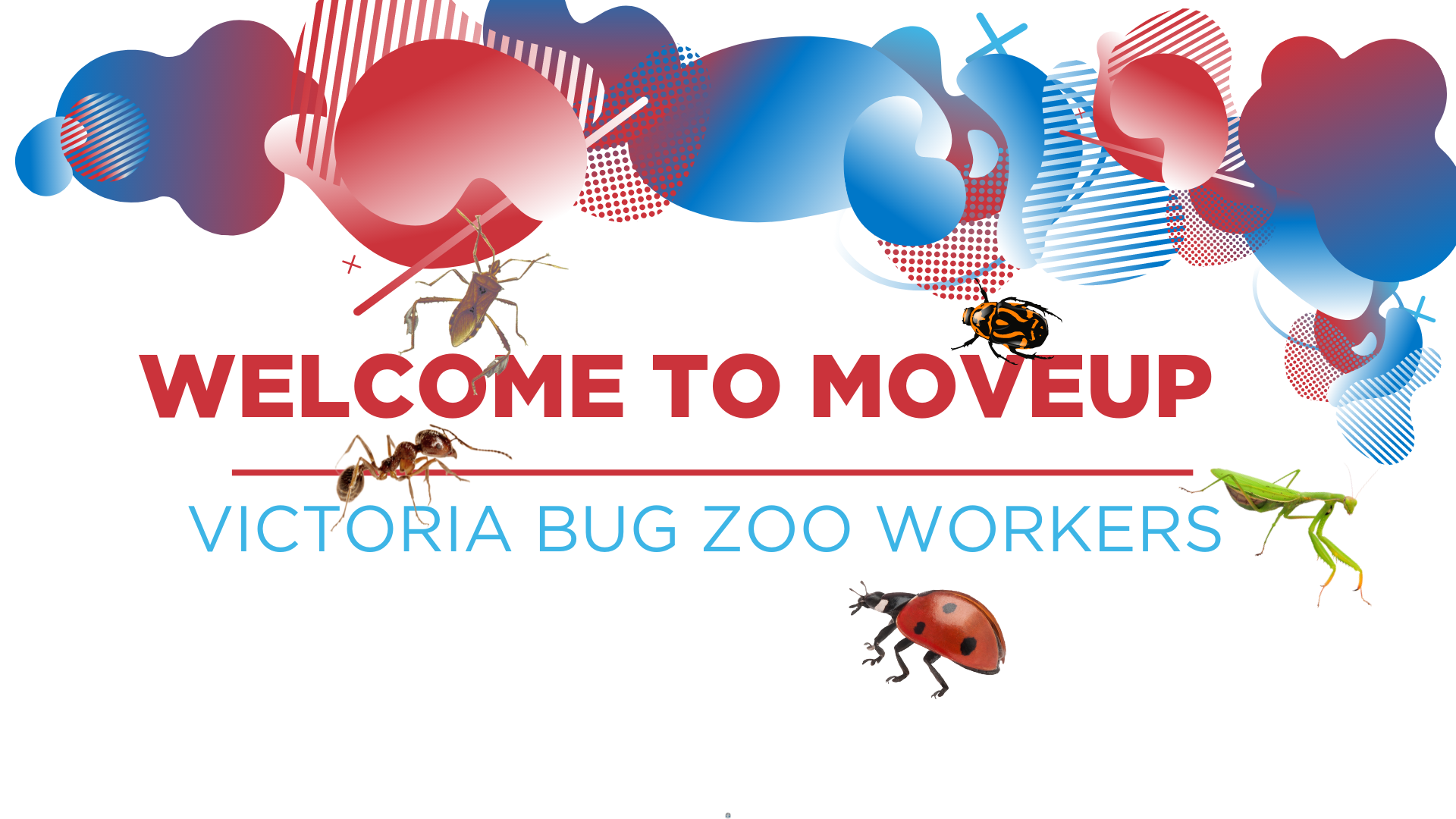 Welcome to MoveUP Victoria Bug Zoo workers