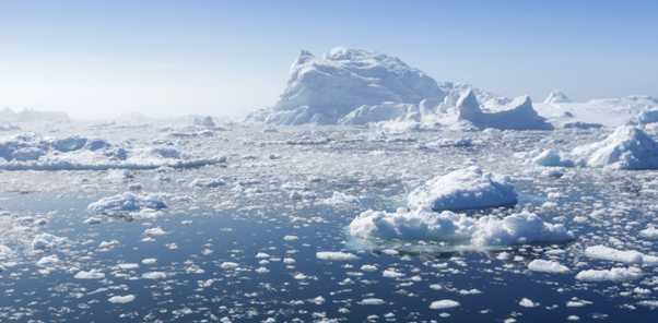 Arctic summer ice in water