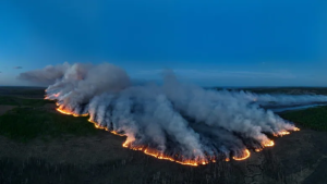Stoddard Creek Blaze (May 2023)