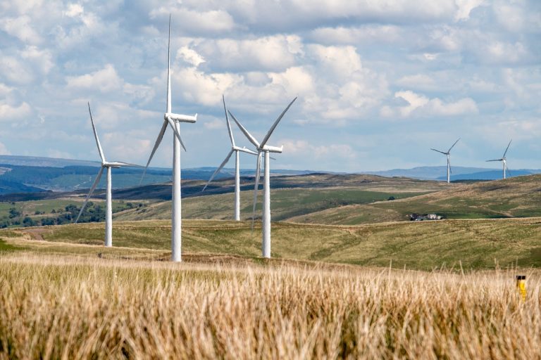 wind turbines in a field