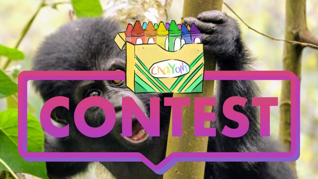 image of a baby chimpanzee clutching a bamboo, with a cartoon box of crayons and the word "contest" overlaid above it