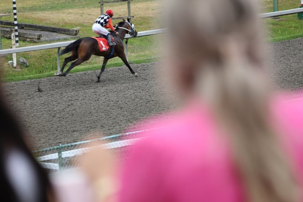 Person watching horse racing at Hastings Racecourse